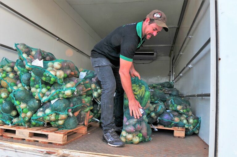 Regras para Receber a Cesta Verde no DF